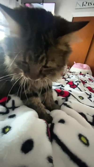 Our sweet baby