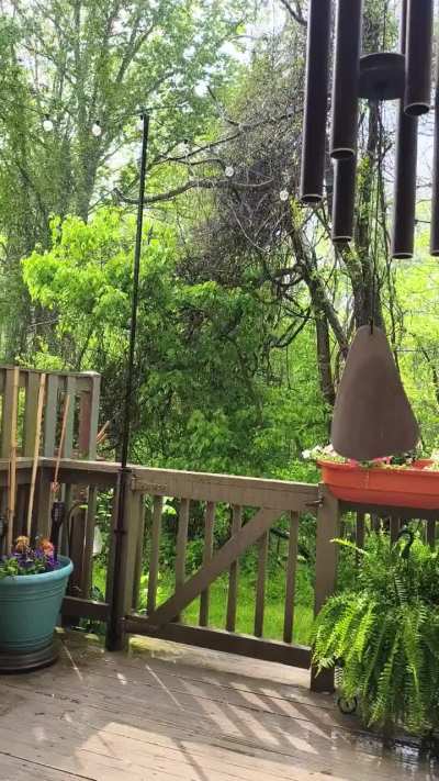Raining while the sun shines