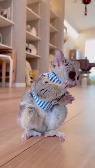 Cuteness overload..