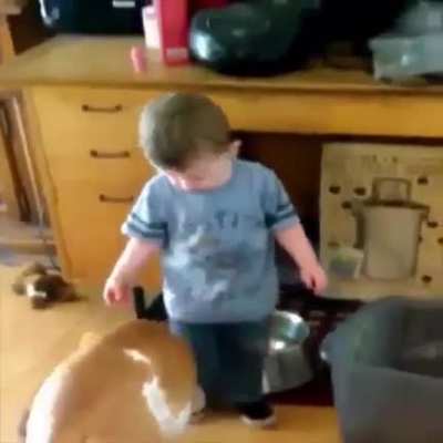 Splosh splash
