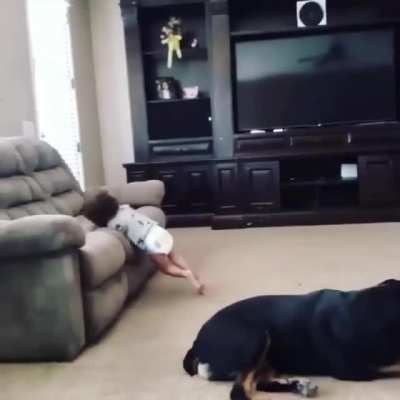 Tango down