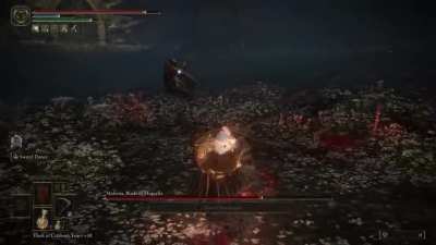 did Malenia just hit a ghost?!