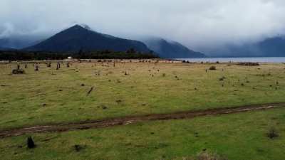 Lago Chapo