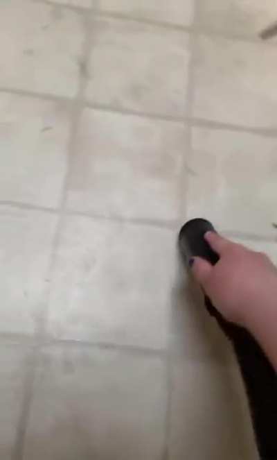 Vacuuming next to a sleeping dog