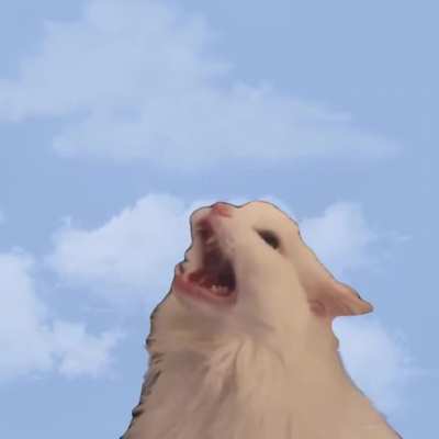 MEOW MEOW