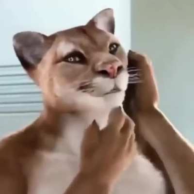 Title
