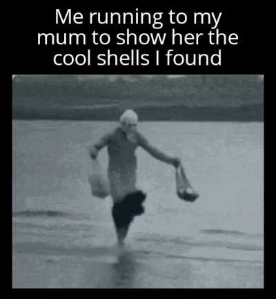 Everyone we ho to the beach