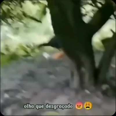 Roubou meu p&atilde;o 🤬