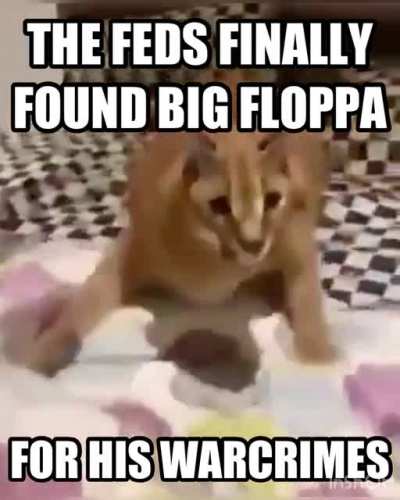 Floppa rule