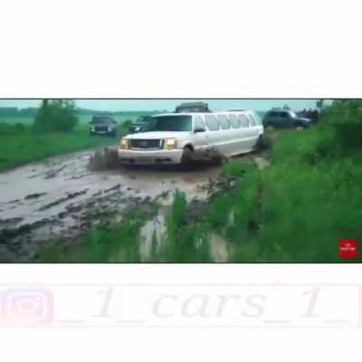 pogger limo moment