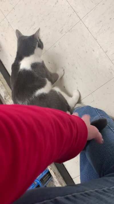 She wanted more attention....