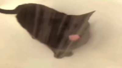 Compilation of wunks