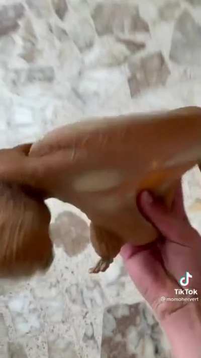 nada que decir