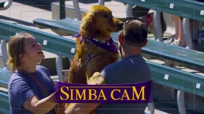 [Highlight] [Highlight] Rockies unveil the &ldquo;Simba Cam&rdquo; on Bark in the Park day