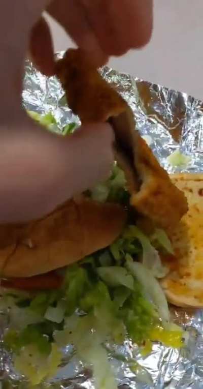 Fried air burger 