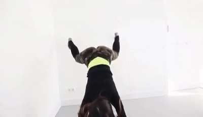 That ass