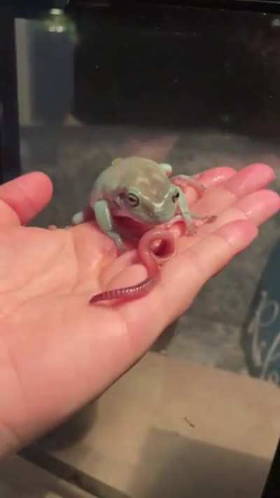 nomnomnom…
