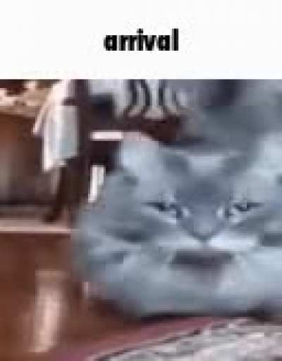 Rul&eacute;