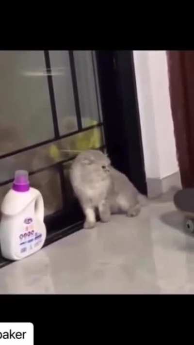 Rolling slaps