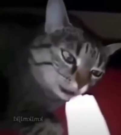 eeeeeeah