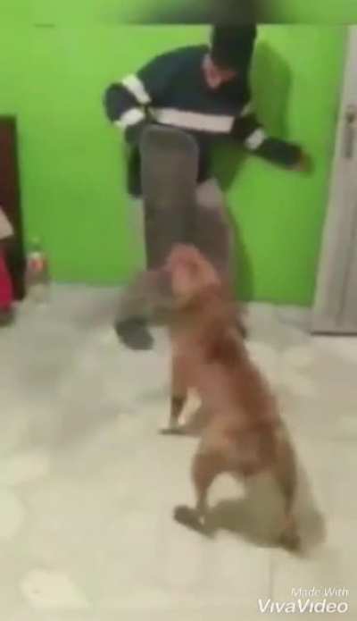 Deleted CLANG scene