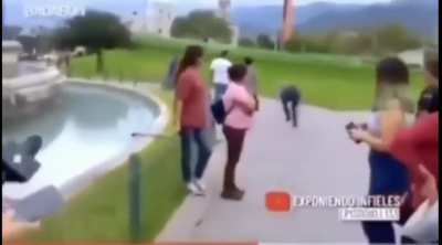 Titulo alternativo
