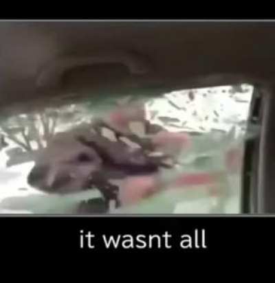No