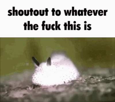 110673