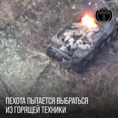 RU POV: Ukrainian MT-LB Ambushed in Olgovka Forest, Kursk Oblast