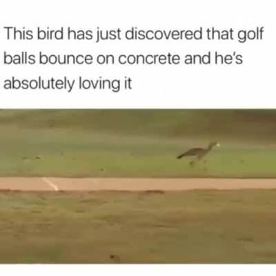 He be doin a bounce