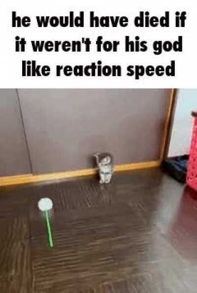 inhuman reaction