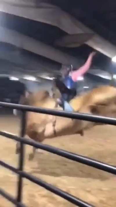 Yeet of the bull.