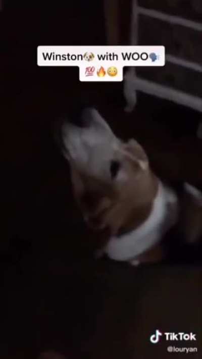 Winston got that WOO