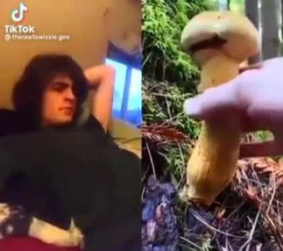 hm