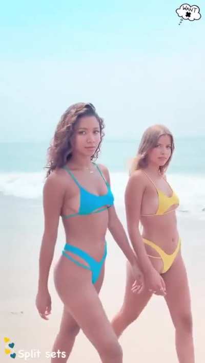 Blue or Yellow?