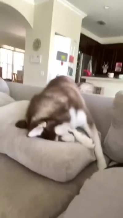&ldquo;You won&rsquo;t let me do anything&rdquo;