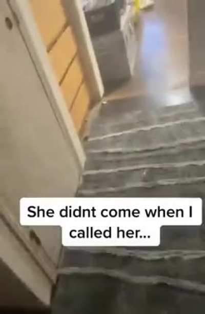 Don&rsquo;t forget to close the door