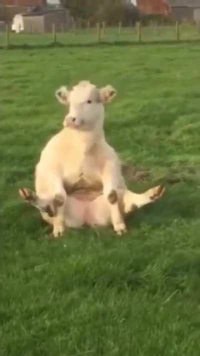 When you&rsquo;ve got a itch that needs scratching &amp;amp; you got to find a way 😂