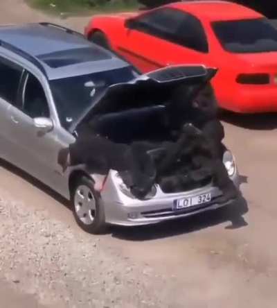 ...