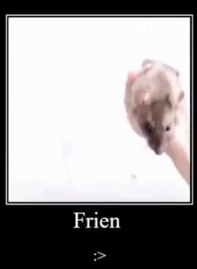 Frien :>