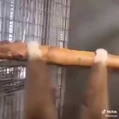 M&oelig;&ntilde;k&euml;