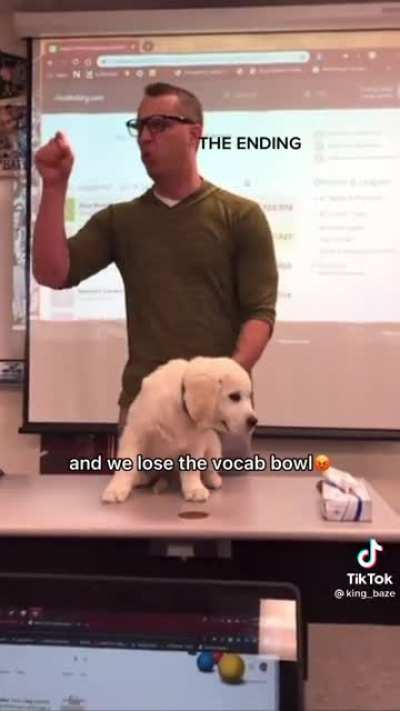 Buck the vocab dog