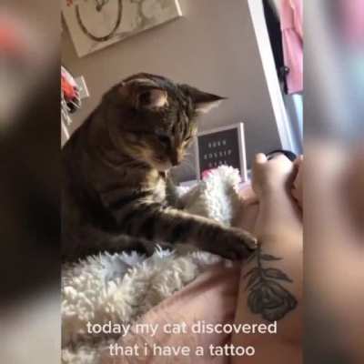 Touch tha tattoo