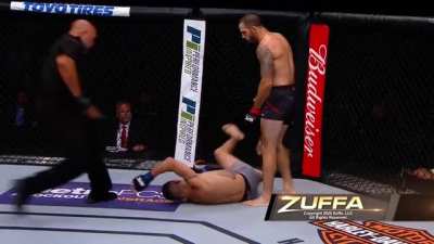 Matt Brown violently finishing his opponents