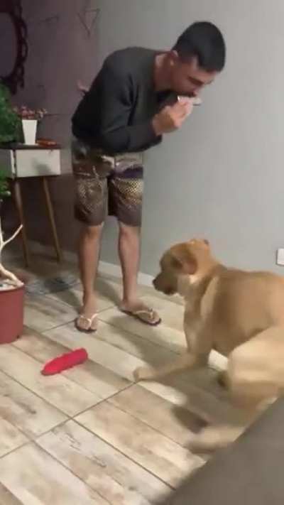 Maybe Maybe Maybe