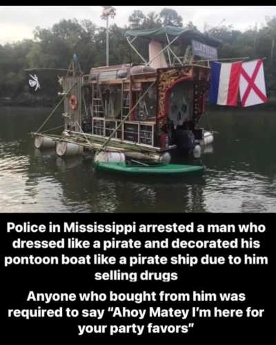 &ldquo;That&rsquo;s got to be the best pirate I&rsquo;ve ever seen.&rdquo;