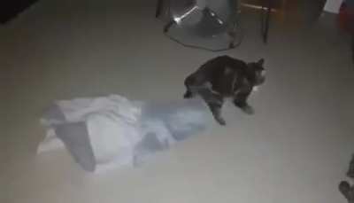 He's off to build a blanket fort for the night