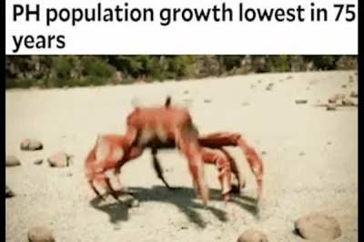 Finally our suffering may end
