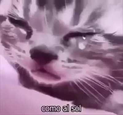 :
