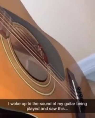 br&oslash;thər playing the guitar